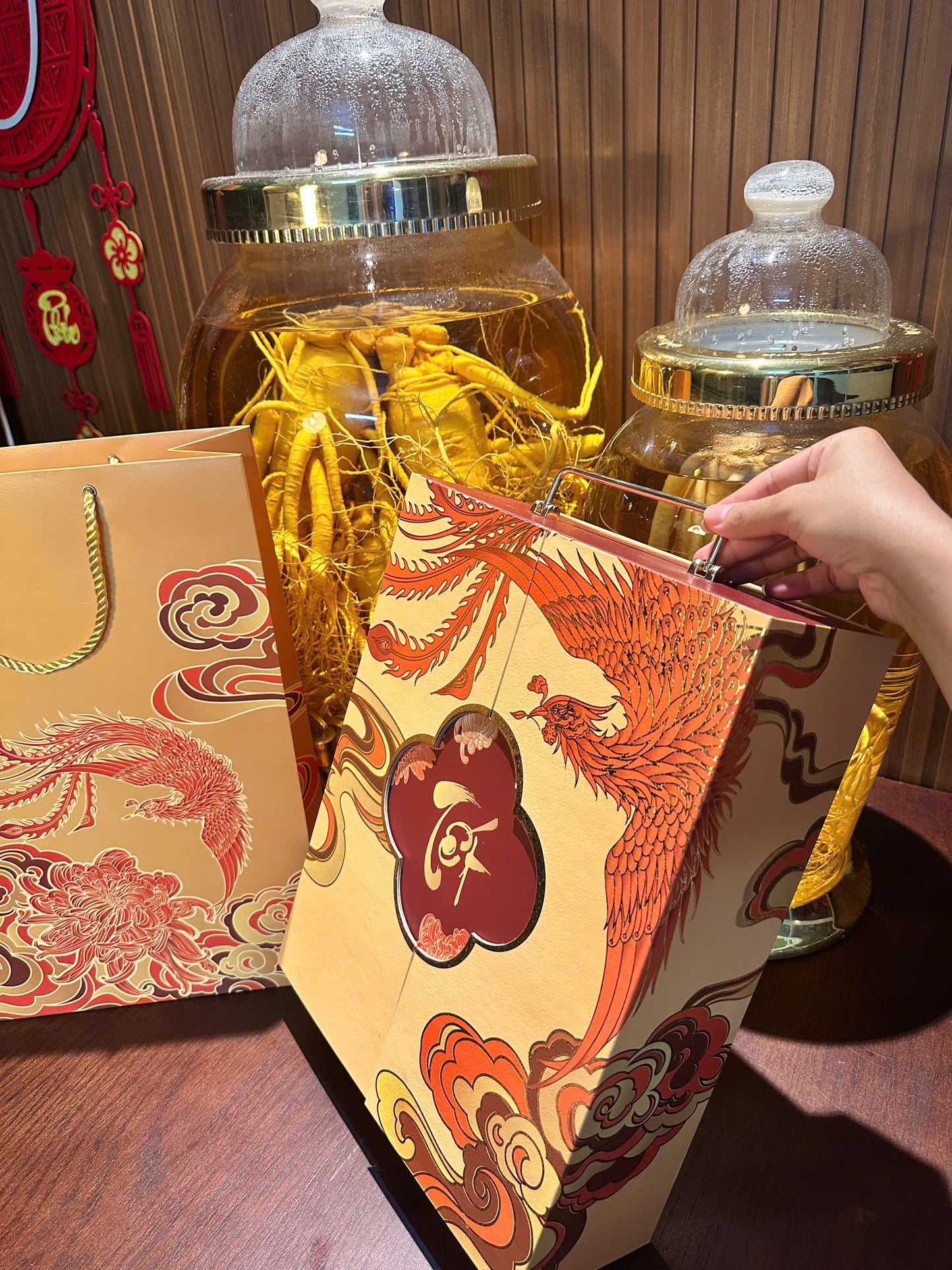 TET2026 CÚC PHƯỢNG HOÀNG HGCN-CPH01